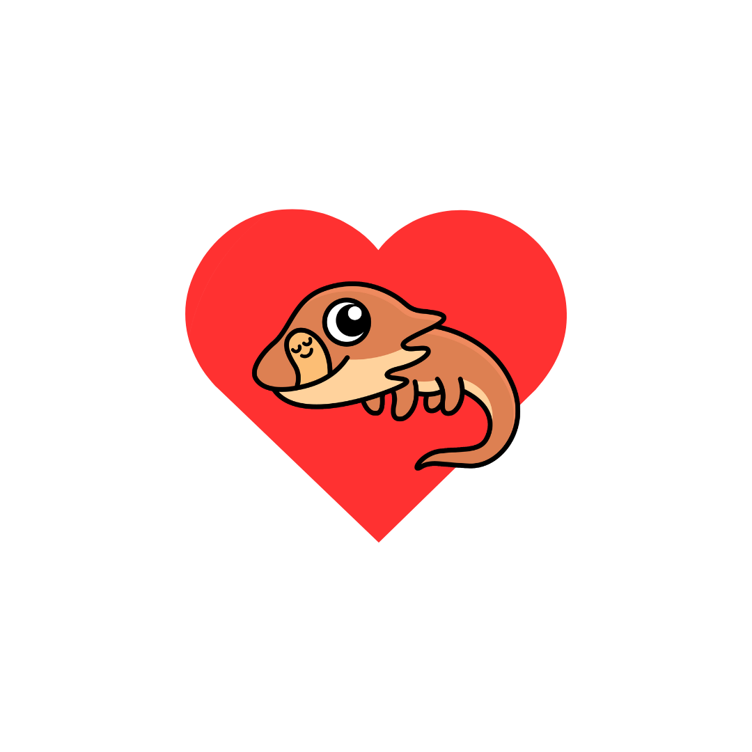I LOVE LIZARDS - Kids T Shirt