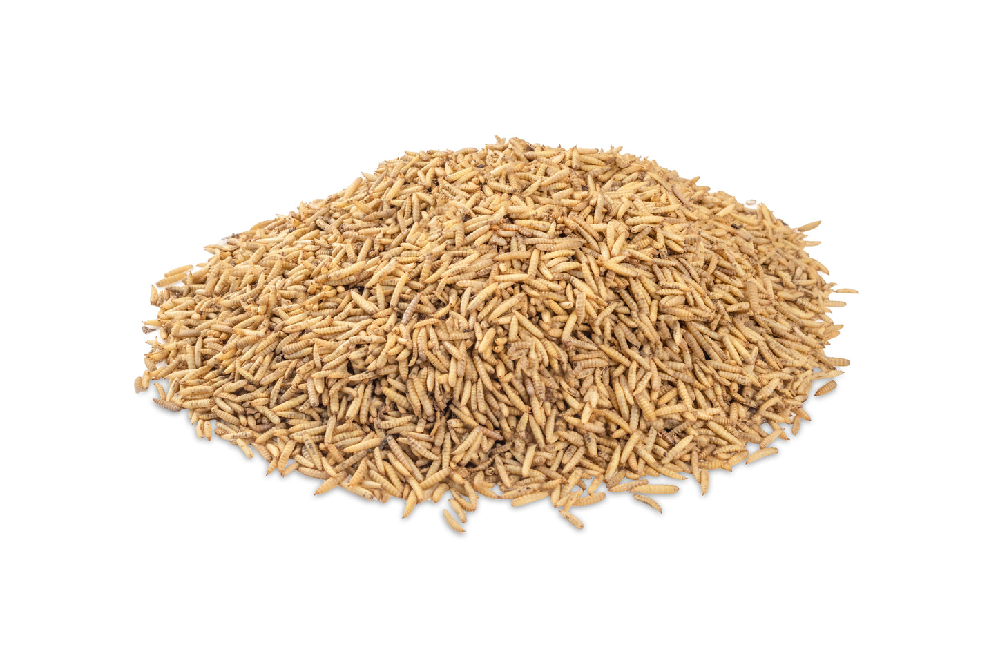 Golden Grubs - Dried BSF Larvae 1kg