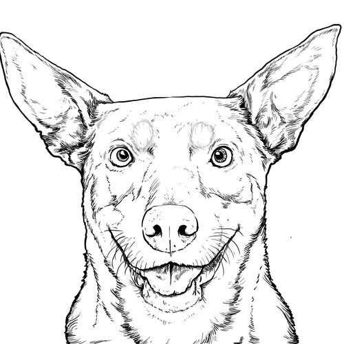 Buggy Bix - EveryDay Dog Treats