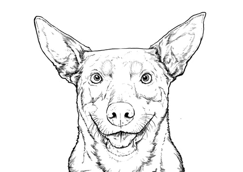 Buggy Bix - Calming Dog Treats