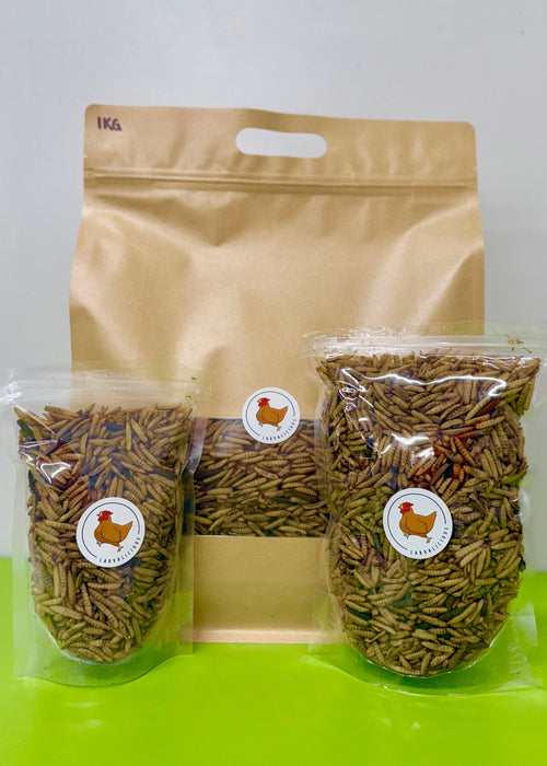 Golden Grubs - Dried BSFL 150g