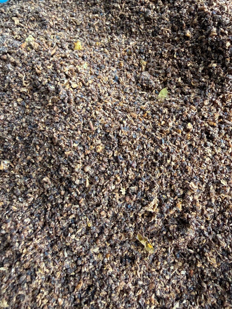 Black Soldier Fly Frass – Organic Fertiliser & Soil Improver