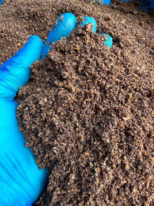 Black Soldier Fly Frass – Organic Fertiliser & Soil Improver